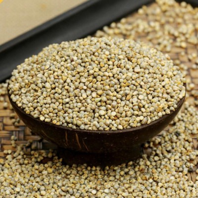 Naati Pearl Millet ( Sajje / Sajjalu / Kambu / Bajra / Kambam ) - Desi Variety