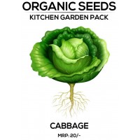 Cabbage Seeds