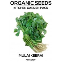 Mulai Keerai Seeds